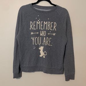 Disney Size M The Lion King Graphic Pullover